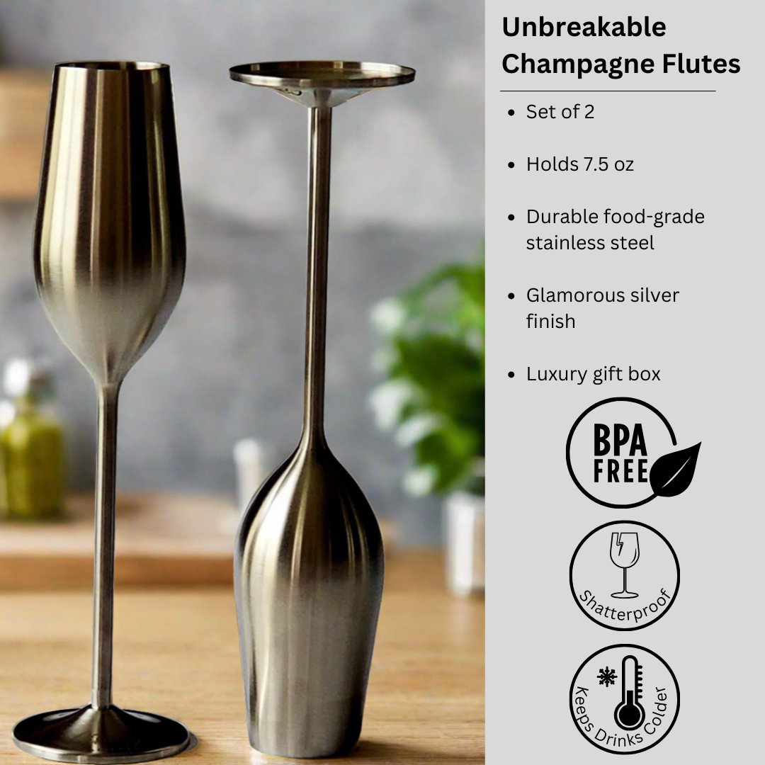 Silver Unbreakable Stainless Steel Champagne Flutes, Set of 2 - Sister.ly Drinkware
