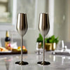 Silver Unbreakable Stainless Steel Champagne Flutes, Set of 2 - Sister.ly Drinkware